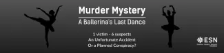 Murder Mystery