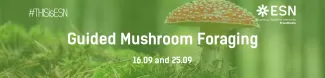 Mushroom course