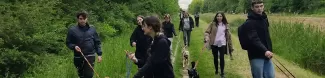 people walking with dogs