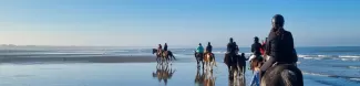 International students riding horses at the beach