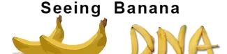 "Seeing banana dna" - a visual explaining the event
