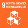 Logo of the SDG Goal 9