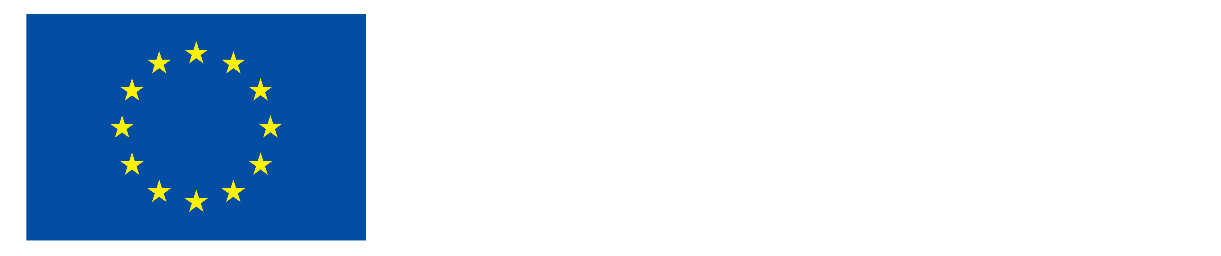 Logo of project co-funded by the European Union